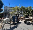 Carroceiros protestando no Centro do Recife.