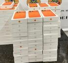 Passageiro &eacute; preso com 100 celulares em aeroporto de Foz do Igua&ccedil;u. 