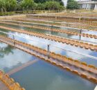 Sistema Botafogo da Compesa, em Igarassu.