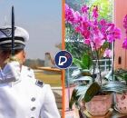 FAB vai gastar mais de R$ 413 mil com arranjos e coroas de flores.