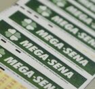 Cartelas da Mega-Sena juntas.