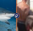 Ataque de tubar&atilde;o em Olinda: Cemit diz que incidente foi causado por animal da esp&eacute;cie cabe&ccedil;a-chata