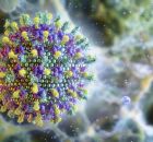 Nipah: veja o que se sabe sobre o v&iacute;rus ap&oacute;s novos casos detectado na &Iacute;ndia