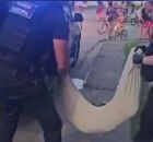 Cachorro n&atilde;o sobreviveu a queda.