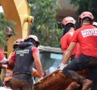 Bombeiros durante resgates em Minas Gerais.