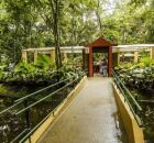 Jardim Bot&acirc;nico. 