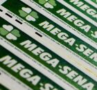 Cartelas da Mega-Sena juntas.
