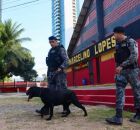 Final do Pernambucano entre Sport e N&aacute;utico ter&aacute; esquema com quase mil policiais neste domingo (1&ordm;)