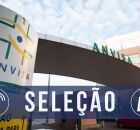 Sele&ccedil;&atilde;o Anvisa. 