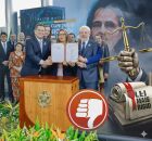 Feminic&iacute;dio no Brasil 