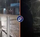 Cidade de S&atilde;o Benedito do Sul ap&oacute;s chuvas e Rio Pirangi atingir cota de alerta.