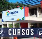  Escola de Governo da Administra&ccedil;&atilde;o P&uacute;blica de Pernambuco (Egape).