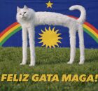 Feriado da Gata Maga.