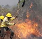 Brigadistas fazendo combate ao  Inc&ecirc;ndio florestal.
