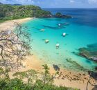 Local &eacute; para&iacute;so restrito no territ&oacute;rio pernambucano.