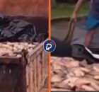 Prefeitura causa revolta ao distribuir peixe da Semana Santa para popula&ccedil;&atilde;o em ca&ccedil;amba de lixo