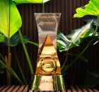 S&eacute;rie B tem tr&ecirc;s clubes invictos na competi&ccedil;&atilde;o.