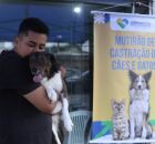 Mutir&atilde;o de castra&ccedil;&atilde;o de pets em jaboat&atilde;o