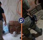 Opera&ccedil;&atilde;o combate tr&aacute;fico de animais silvestres em Pernambuco e na Bahia.