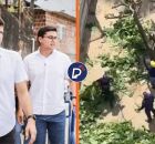 Prefeitura do Recife autoriza derrubada de 41 &aacute;rvores no parque Dona Lindu.