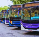 Governo de Pernambuco lan&ccedil;a edital de R$ 310 milh&otilde;es para compra de 100 &ocirc;nibus el&eacute;tricos para RMR