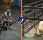 O abandono de animais &eacute; considerado crime no Brasil, conforme prev&ecirc; a Lei de Crimes Ambientais.