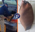A&ccedil;&atilde;o da Pol&iacute;cia Rodovi&aacute;ria Federal