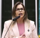 Clarissa T&eacute;rcio, deputada federal