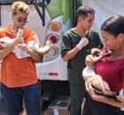 Castram&oacute;vel abre inscri&ccedil;&otilde;es para castra&ccedil;&atilde;o gratuita de c&atilde;es e gatos em Olinda; veja como agendar