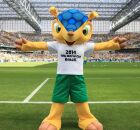 Fuleco em extin&ccedil;&atilde;o? Mascote da Copa no Brasil segue na lista de animais em risco