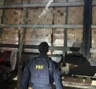 Apreens&atilde;o ocorreu durante uma opera&ccedil;&atilde;o de rotina da PRF na rodovia.