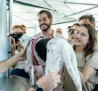 S&atilde;o realizadas mais de 200 castra&ccedil;&otilde;es por dia, das 8h &agrave;s 15h, exclusivamente por agendamento, que pode ser feito pelo Instagram da Secretaria de Meio Ambiente (@meioambientepe).