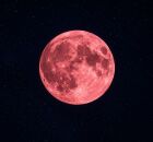 Lua de Morango. 