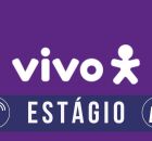 Sele&ccedil;&atilde;o de est&aacute;gio na Vivo. 