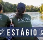 Sele&ccedil;&atilde;o de est&aacute;gio da Funai.