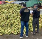 Procon-PE em fiscaliza&ccedil;&atilde;o no Ceasa