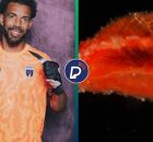 Goleiro Vozinha, destaque na Copa, &eacute; homenageado por cientistas e batiza nova esp&eacute;cie de molusco