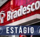 Est&aacute;gio do Bradesco. 