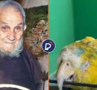 Frei Dami&atilde;o e papagaio.