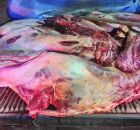 PRF apreende 800 kg de carne bovina sem refrigera&ccedil;&atilde;o em Garanhuns (PE).