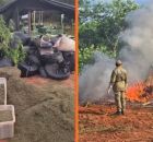 Dois delegados s&atilde;o exonerados no Cear&aacute; ap&oacute;s investiga&ccedil;&atilde;o do caso da "fazenda da maconha".
