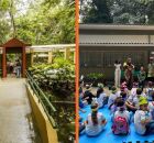 EcoF&eacute;rias do Jardim Bot&acirc;nico do Recife tem programa&ccedil;&atilde;o gratuita em julho; confira