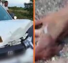 Filho do cantor Neto Ara&uacute;jo sofre acidente a caminho do vel&oacute;rio do pai.