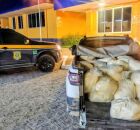 PRF apreende 700 kg de latic&iacute;nio sem refrigera&ccedil;&atilde;o em Garanhuns (PE)