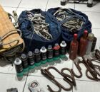PF prende tr&ecirc;s suspeitos em flagrante por pichar pr&eacute;dio do INSS em Fortaleza.