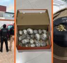 Opera&ccedil;&atilde;o contra tr&aacute;fico de armas e drogas cumpre 24 mandados em PE, BA e SP.