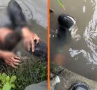 Adolescente tenta se esconder da pol&iacute;cia em esgoto mas &eacute; apreendido com arma e drogas em PE.