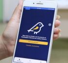 Pernambuco &eacute; o segundo estado no Brasil com mais den&uacute;ncias de propaganda eleitoral irregular 