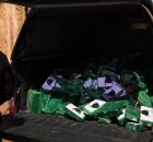 A Pol&iacute;cia Federal realizou, nesta quinta-feira, 6 de agosto, a incinera&ccedil;&atilde;o de aproximadamente 500 quilos de coca&iacute;na. 