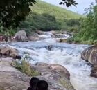 Corpo de jovem v&iacute;tima de afogamento &eacute; encontrado em rio da Mata Sul de Pernambuco